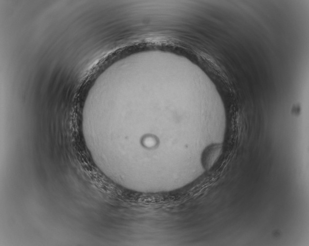 X0000115390776200912011228