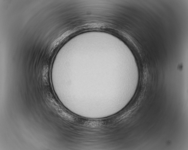 X0000115390778200912011227