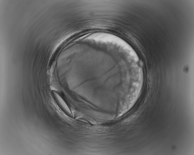 X0000115390779200912011227