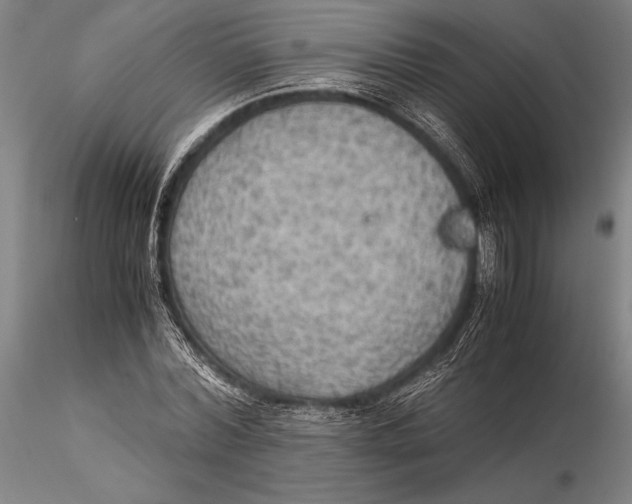 X0000115390780200912011227