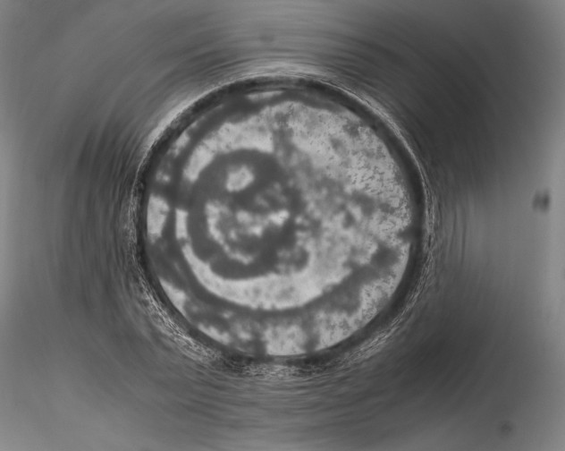 X0000115390783200912011227