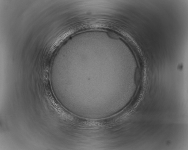 X0000115390785200912011227