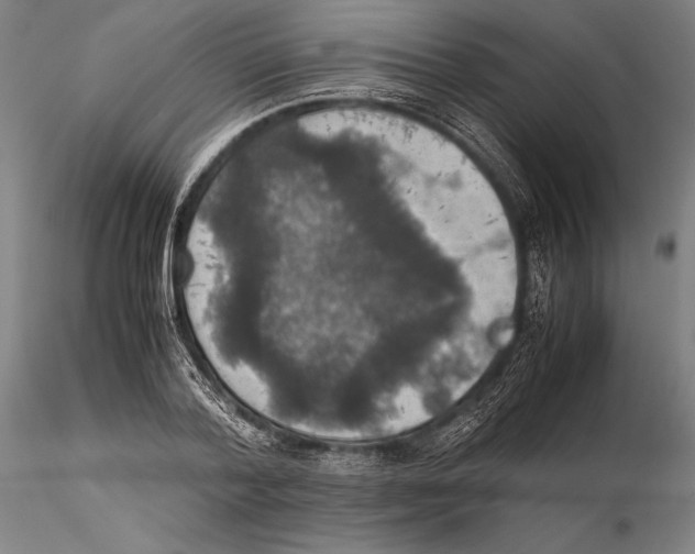 X0000115390788200912011227