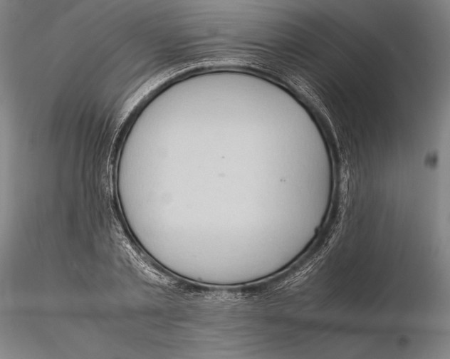 X0000115390789200912011227