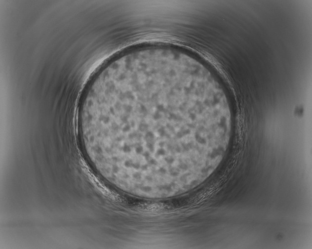 X0000115390791200912011227