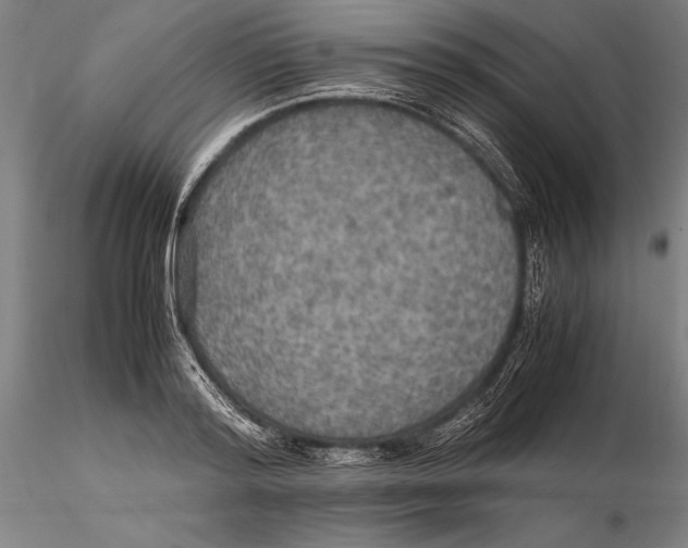 X0000115390796200912011227