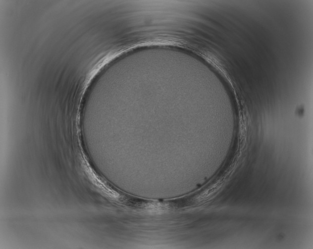 X0000115390797200912011227