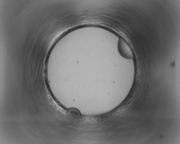 X0000115390799200912011227