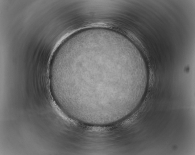 X0000115390800200912011227