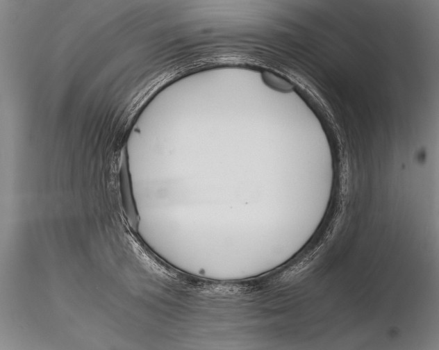 X0000115390801200912011227