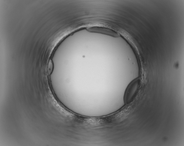 X0000115390805200912011227