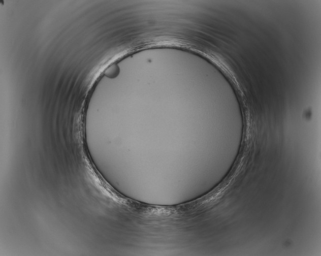 X0000115390806200912011227