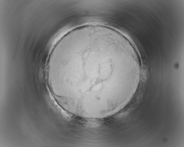 X0000115390807200912011227