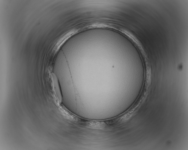 X0000115390809200912011227