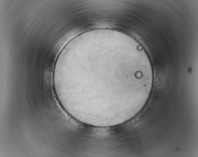 X0000115390810200912011227