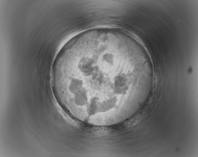 X0000115390811200912011227