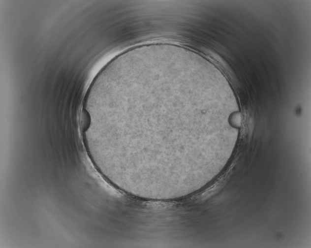 X0000115390812200912011227