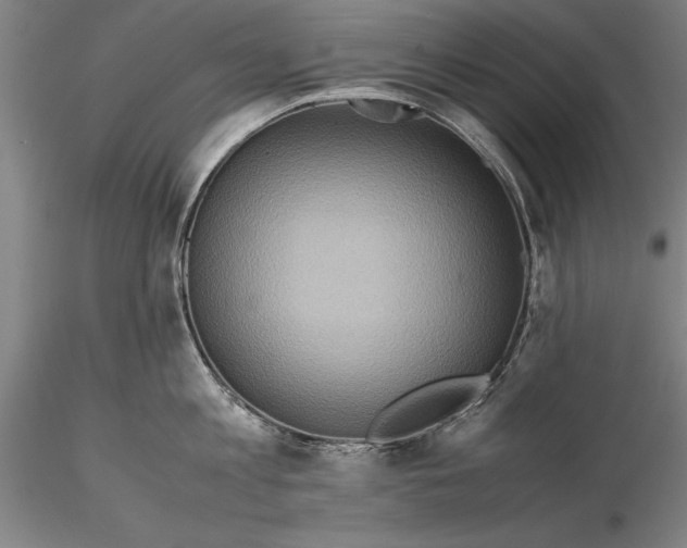 X0000115390813200912011227