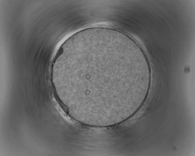 X0000115390816200912011227