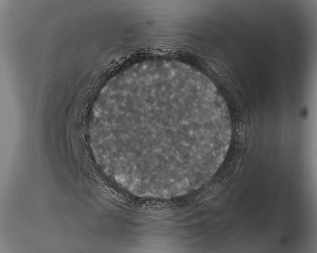 X0000115390817200912011226