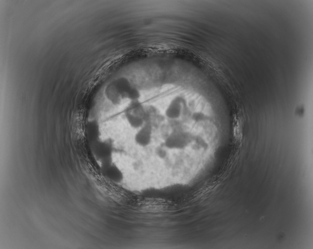 X0000115390819200912011226