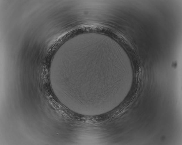 X0000115390822200912011226