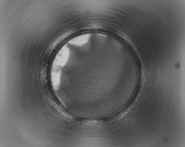 X0000115390826200912011226