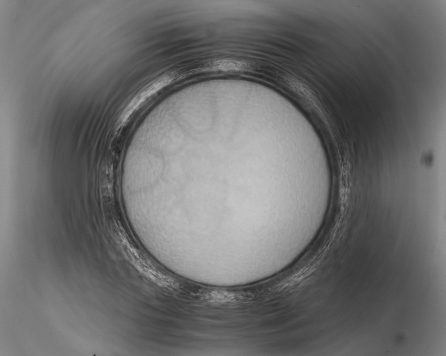 X0000115390827200912011226