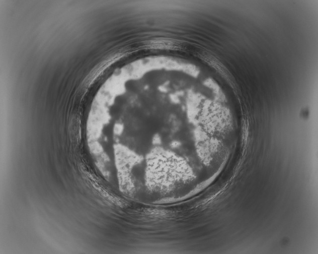 X0000115390829200912011226