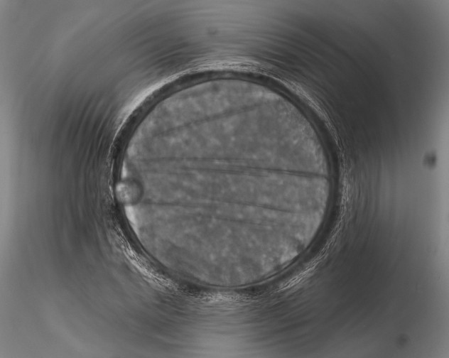 X0000115390830200912011226