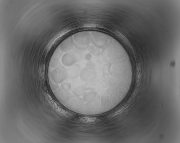 X0000115390831200912011226