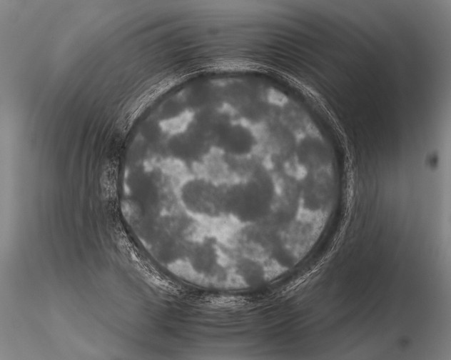 X0000115390833200912011226