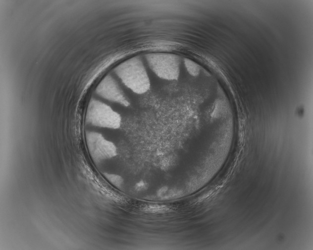 X0000115390835200912011226