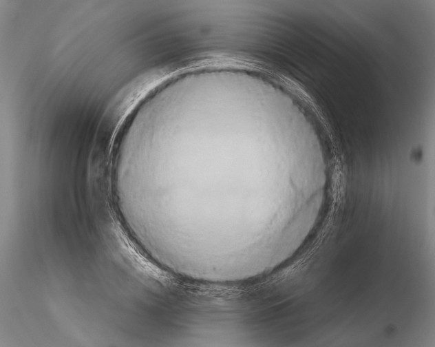 X0000115390836200912011226