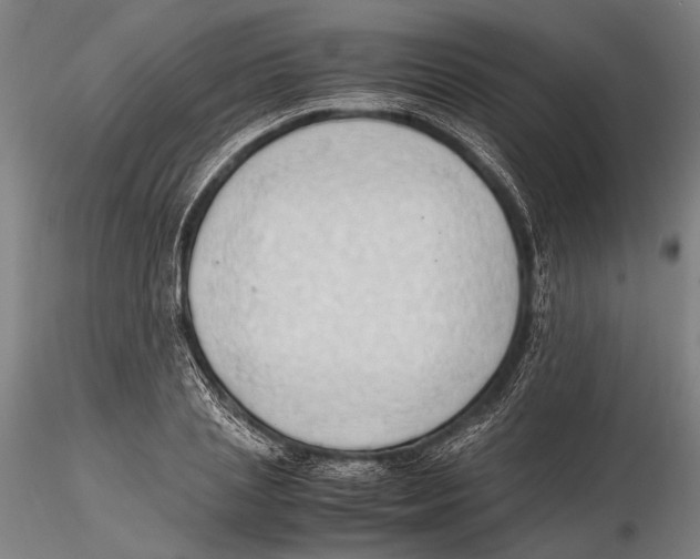 X0000115390837200912011226