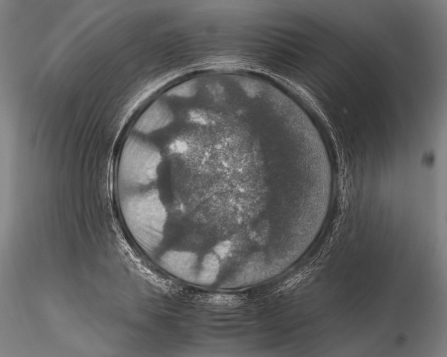 X0000115390839200912011226