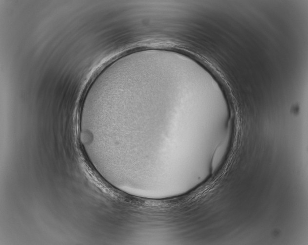 X0000115390840200912011226