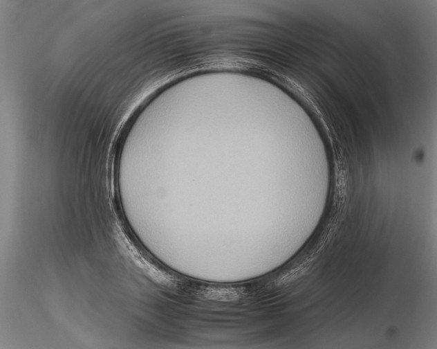 X0000115390843200912011227