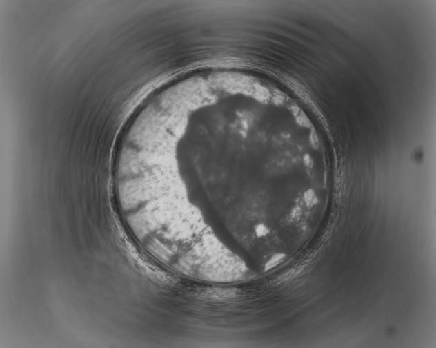 X0000115390845200912011227