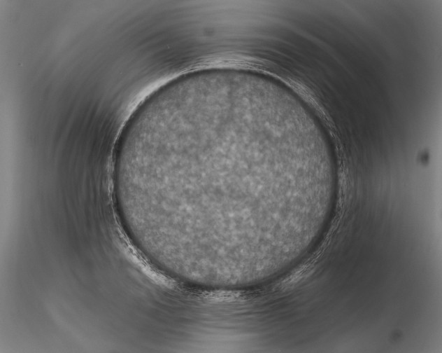 X0000115390846200912011227