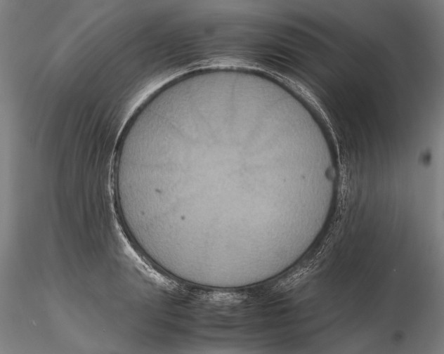 X0000115390847200912011227