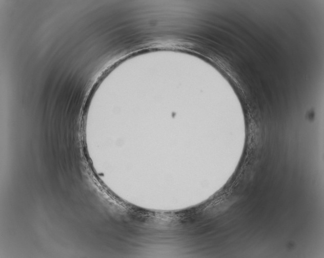 X0000115390848200912011227