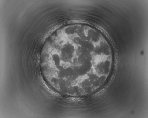 X0000115390849200912011227