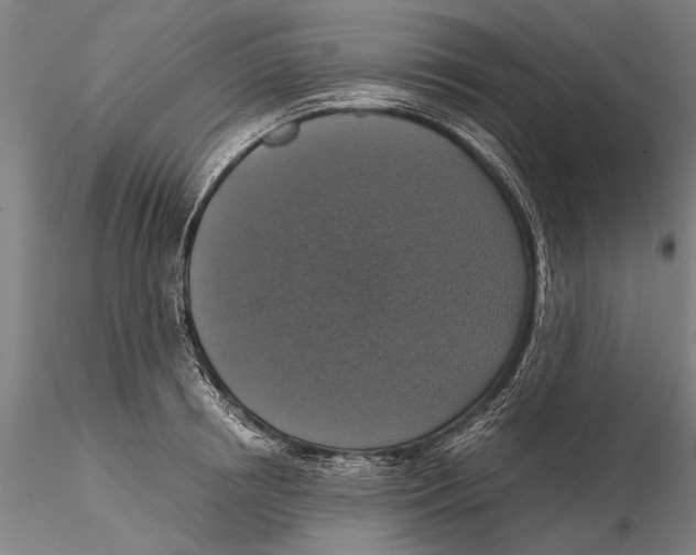 X0000115390850200912011227