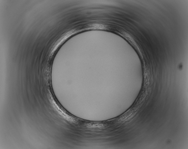 X0000115390851200912011227