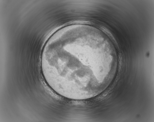 X0000115390852200912011227