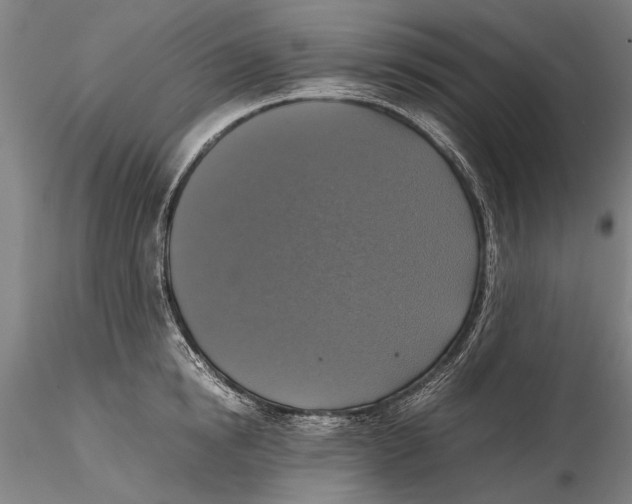 X0000115390854200912011227