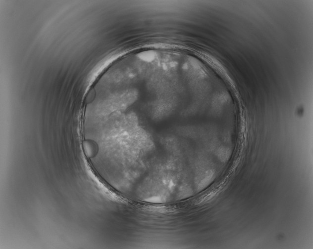 X0000115390855200912011227