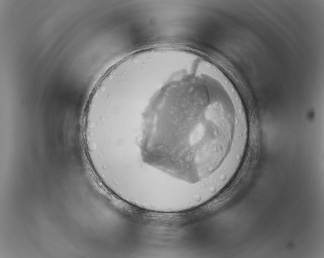 X0000115390856200912011227