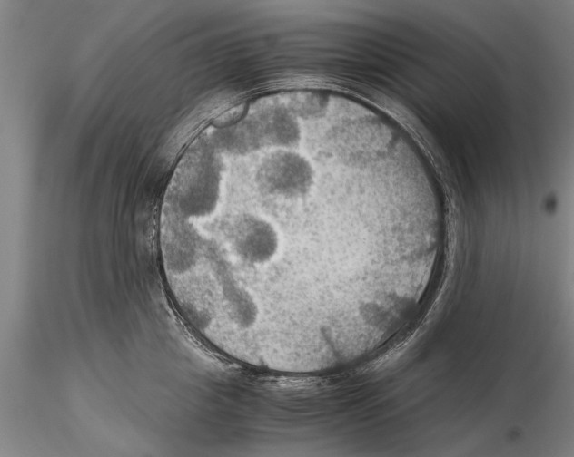 X0000115390857200912011227